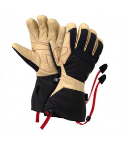 Ski Gloves