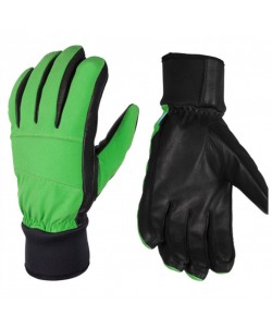 Ski Gloves